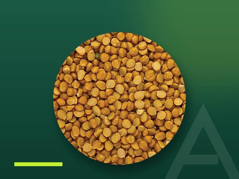 Chana Dal