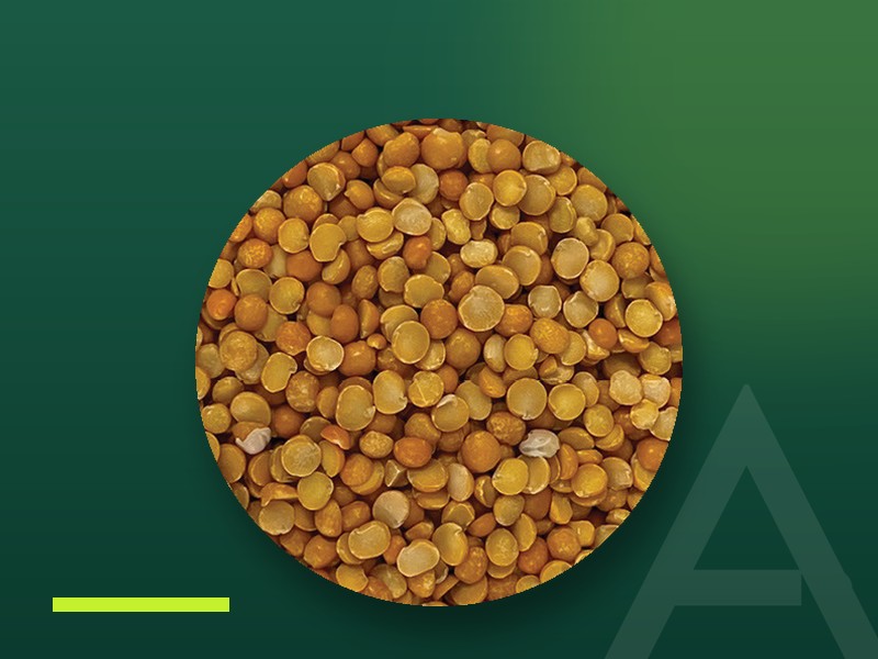 Split yellow peas