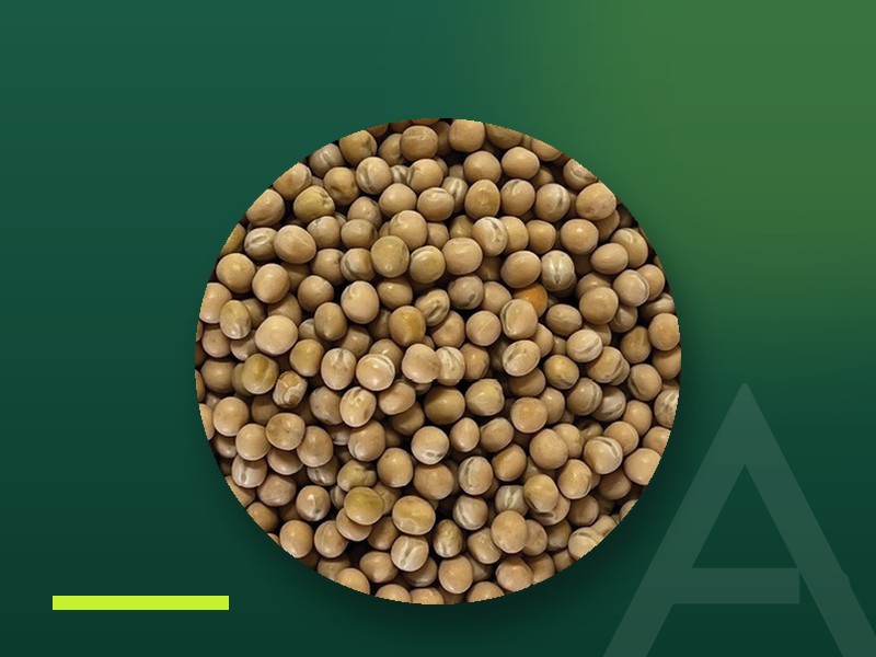 Whole yellow peas