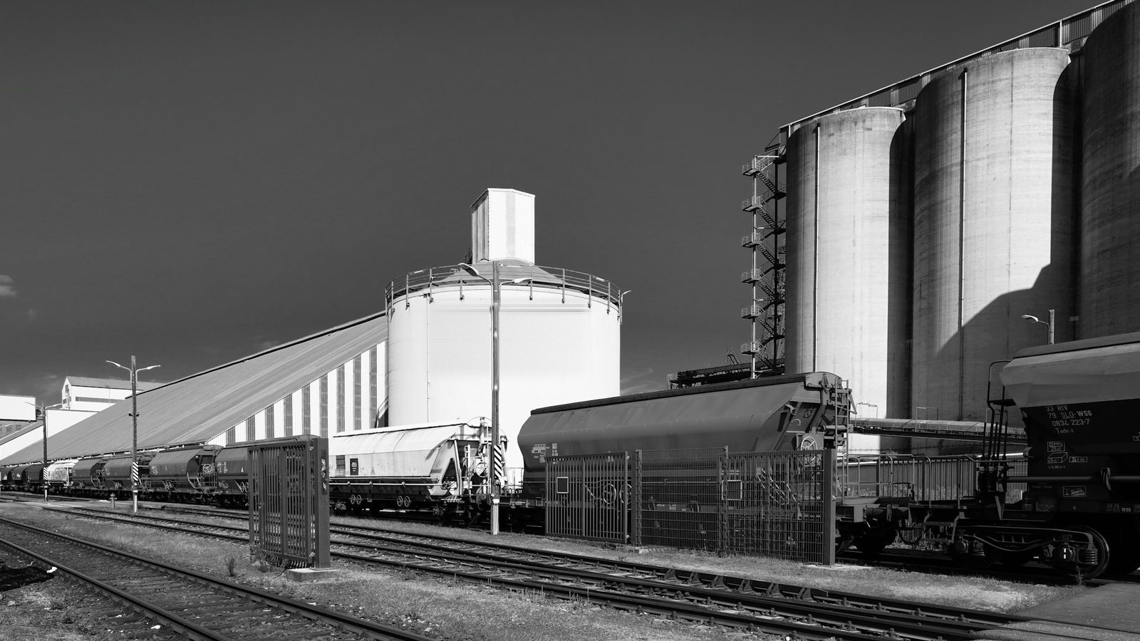 Grain elevator and hopper cars at an industrial terminal